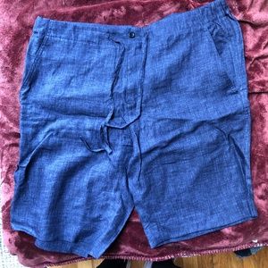 Loro Piana Blue Shorts